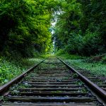 nature-forest-industry-rails